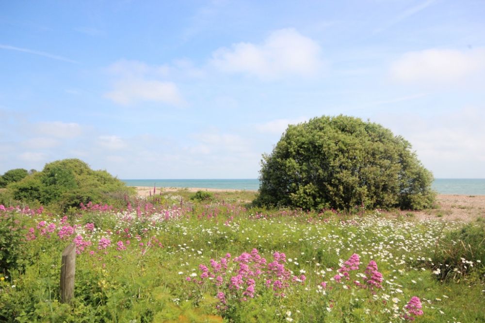 Mary’s Cottage image