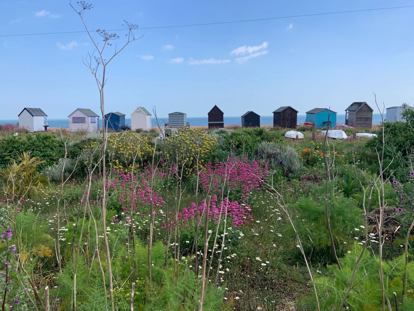 Cliffeside Cottage image