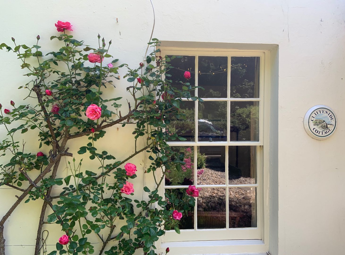 Cliffeside Cottage image