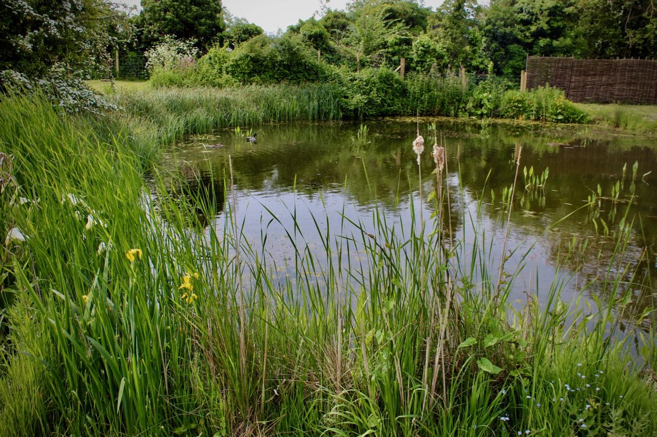 Moat Farm Cottage image