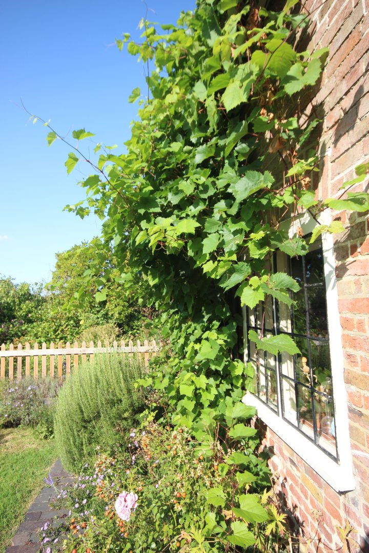 Moat Farm Cottage image
