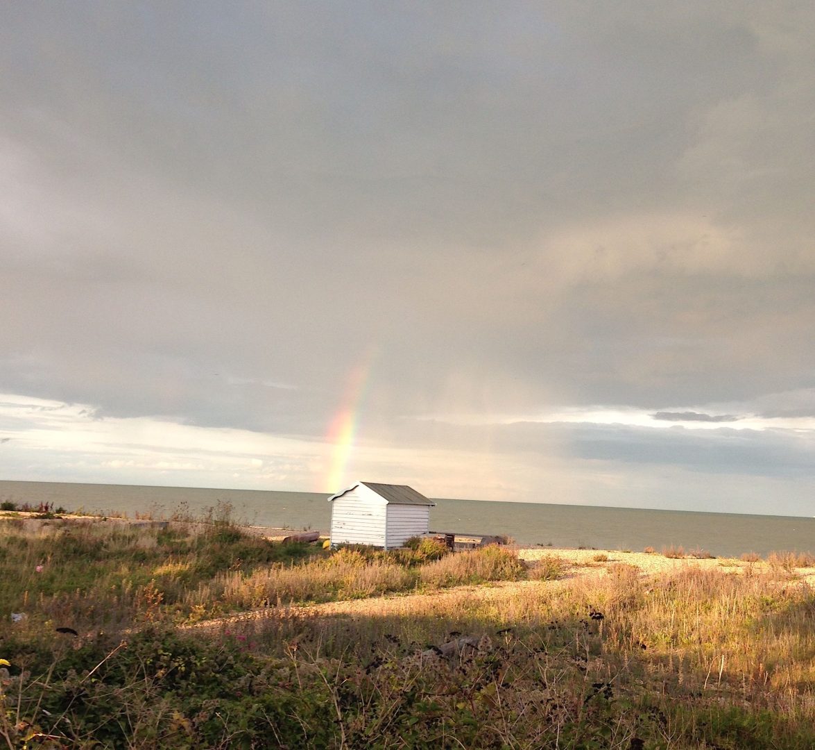 Sea Rose Cottage image