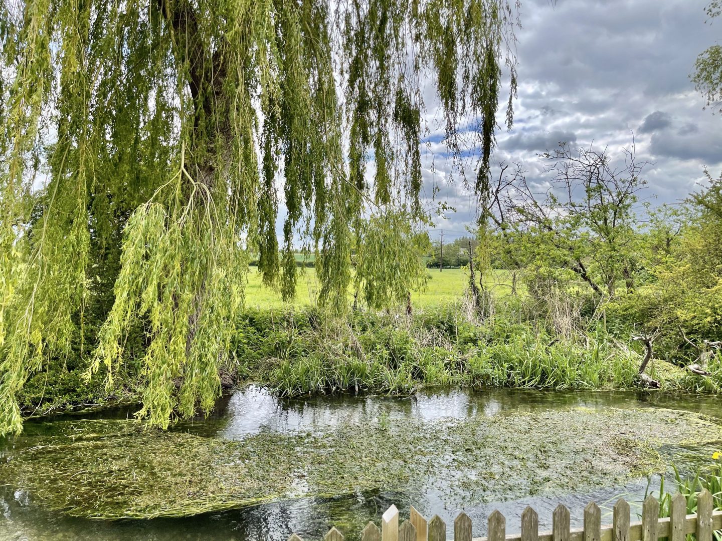 Willow Tree Lodge image