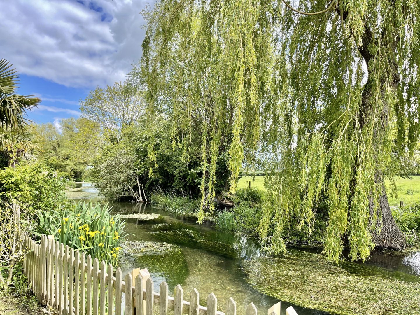 Willow Tree Lodge image