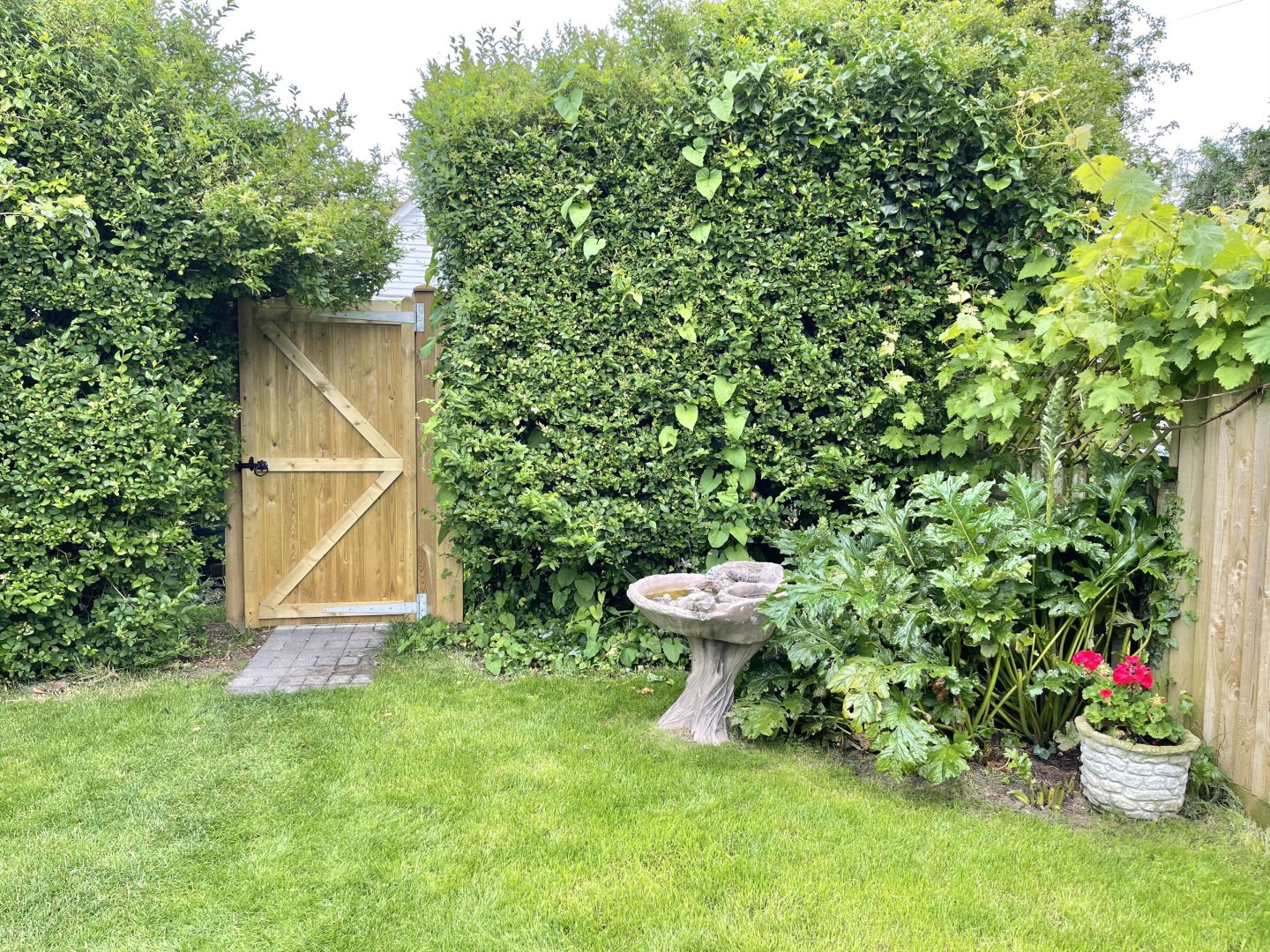 Sea Rose Cottage image