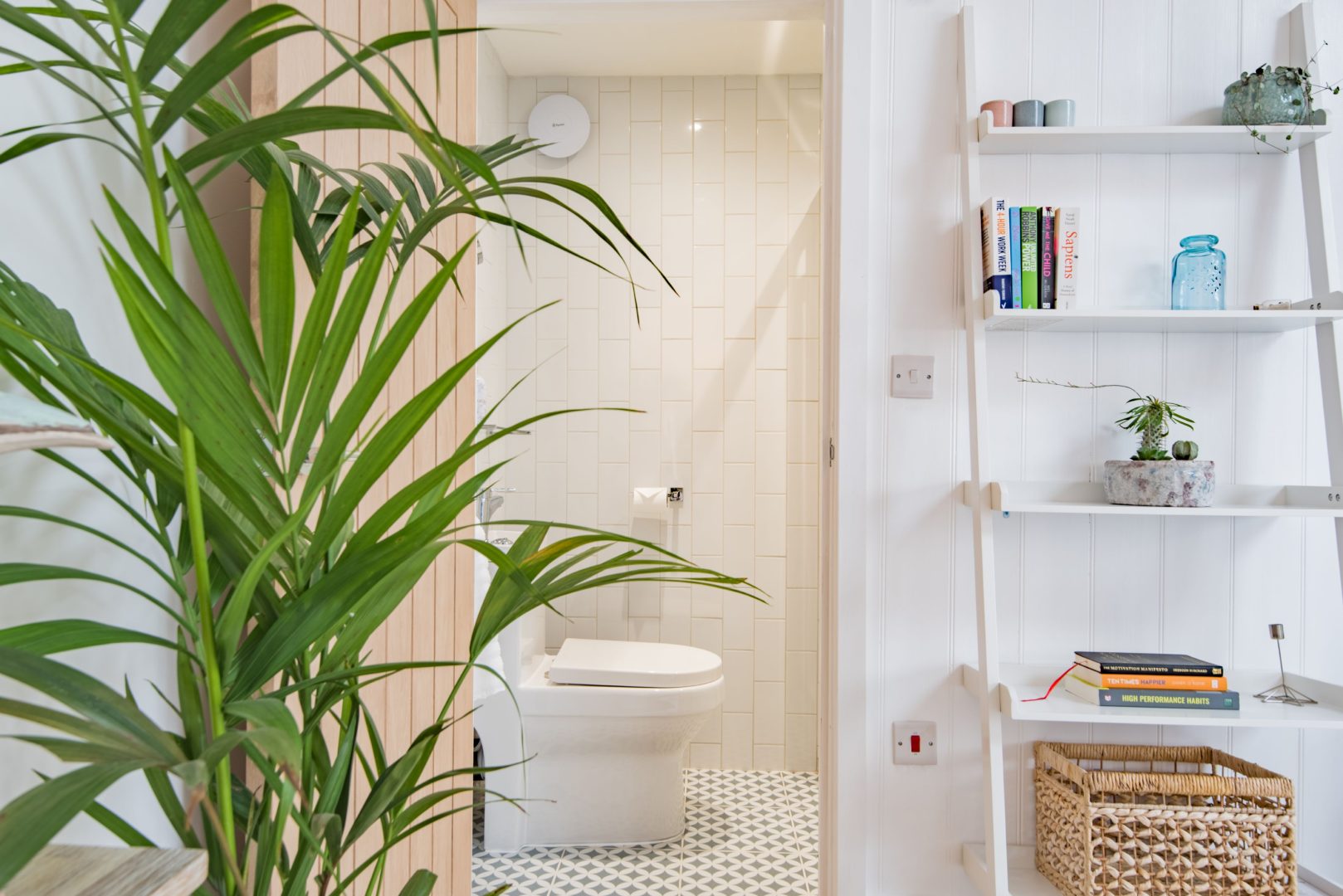 The Blue Lodge image