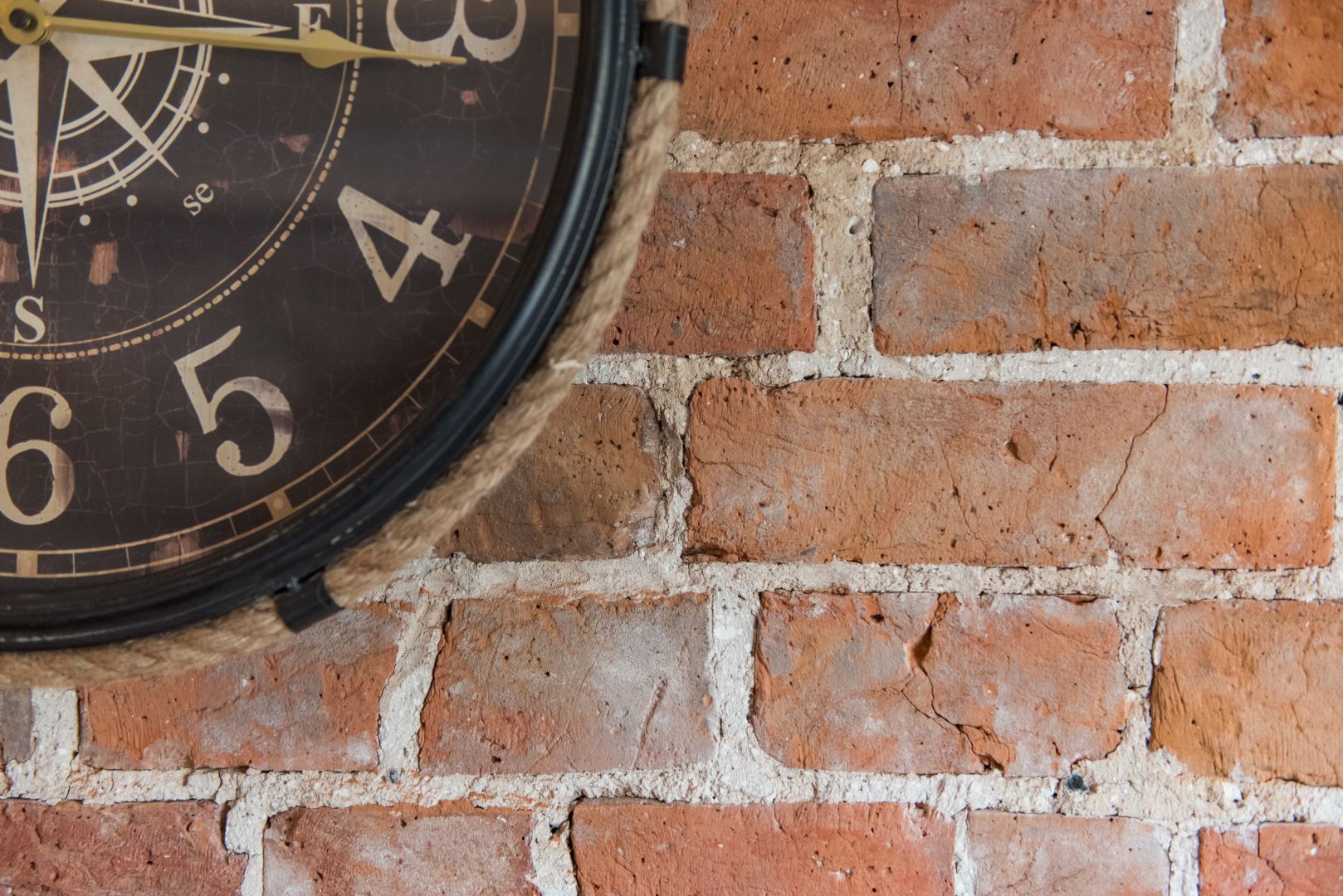 Cow and Cockle image