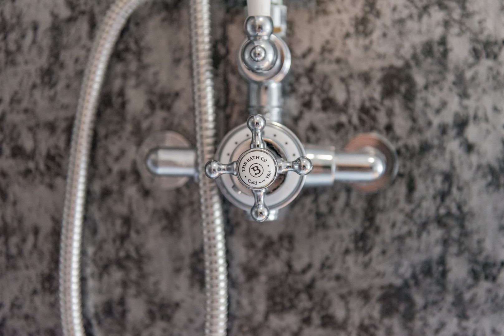 Cow and Cockle image