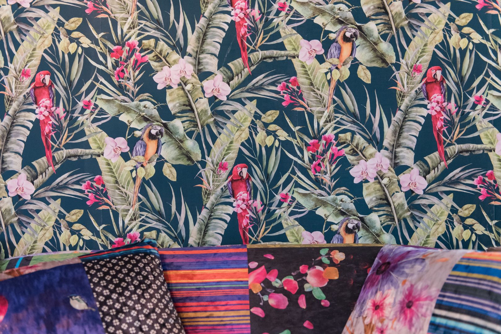 Cow and Cockle image