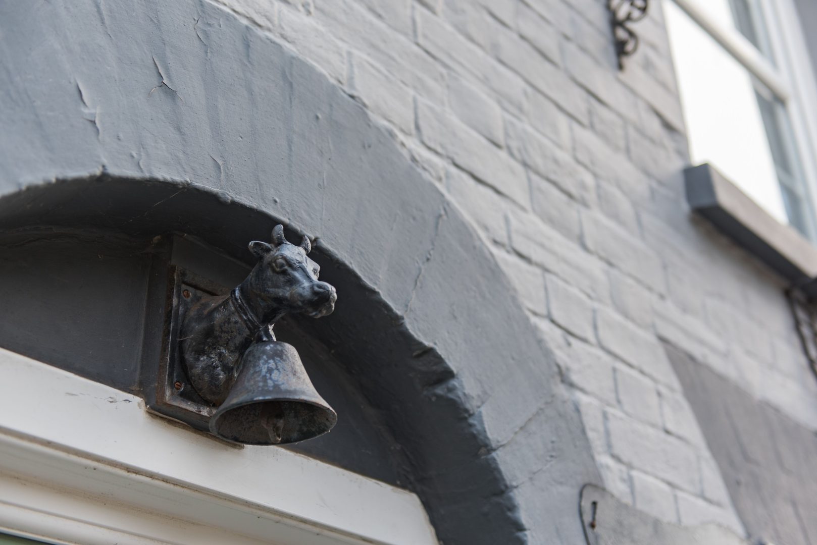 Cow and Cockle image