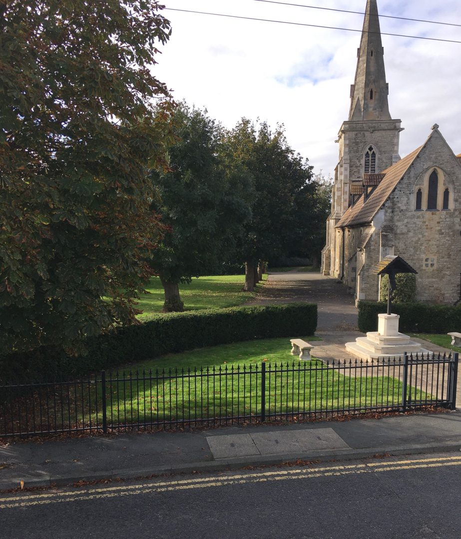 Cow and Cockle image