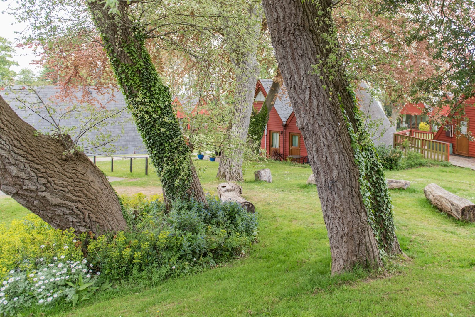 Kingsdown Chalet image
