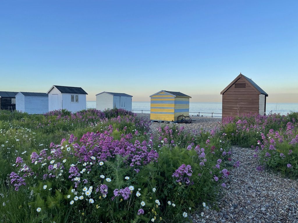 Victory at Cliffe image