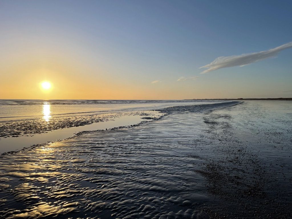 The Green House image