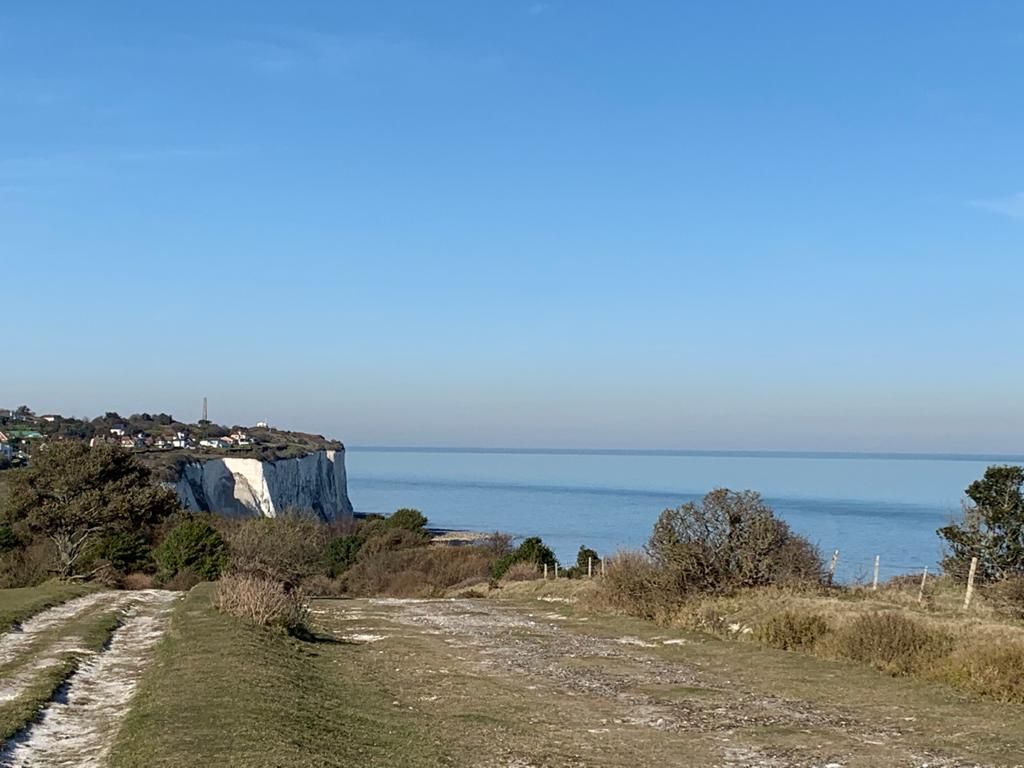 The Green House image