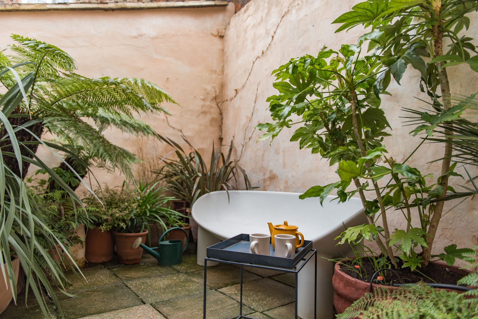 Cordyline Cottage image