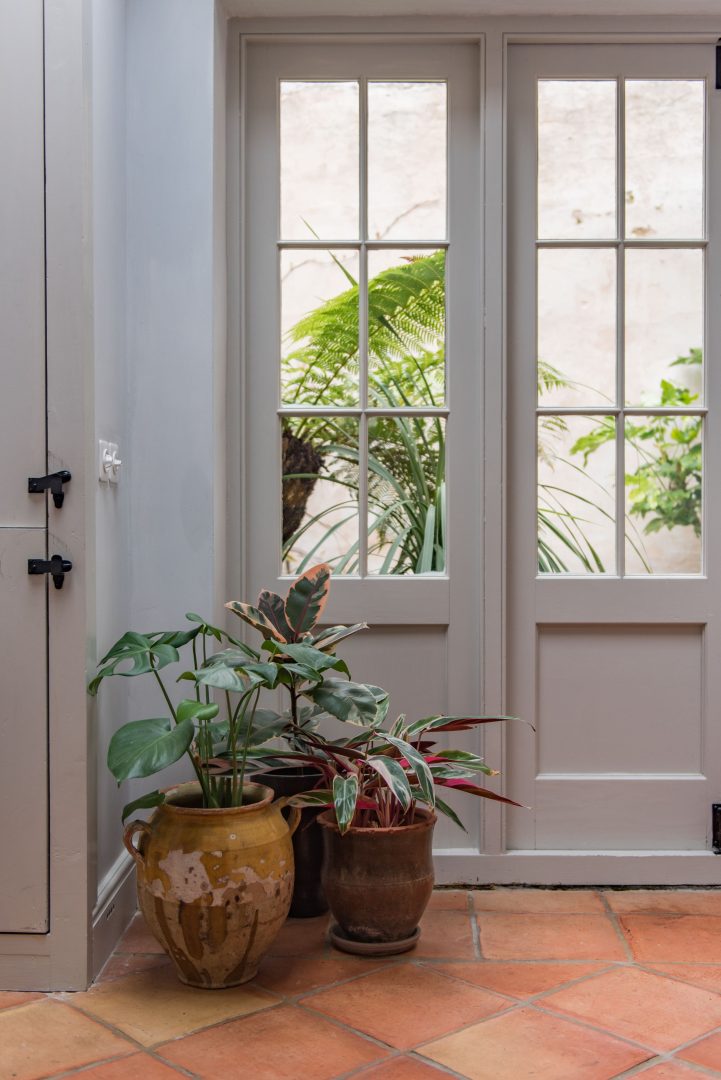 Cordyline Cottage image