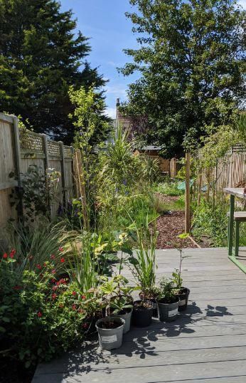 The Green House image