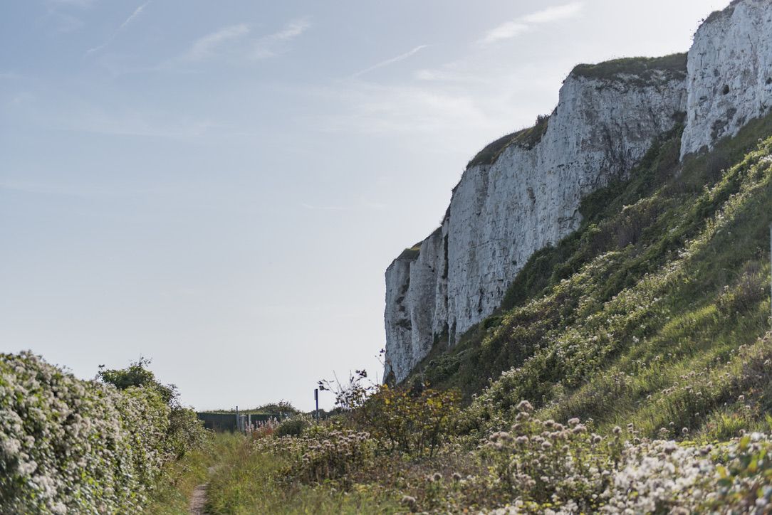 Victory at Cliffe image