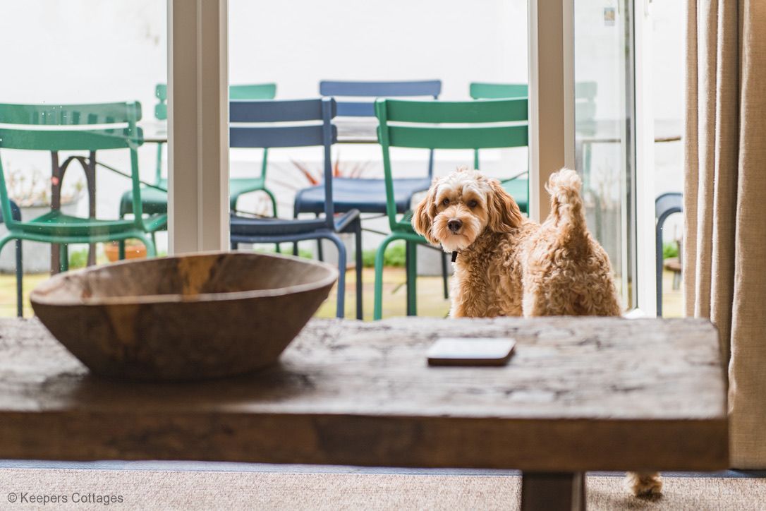 The Pink House image