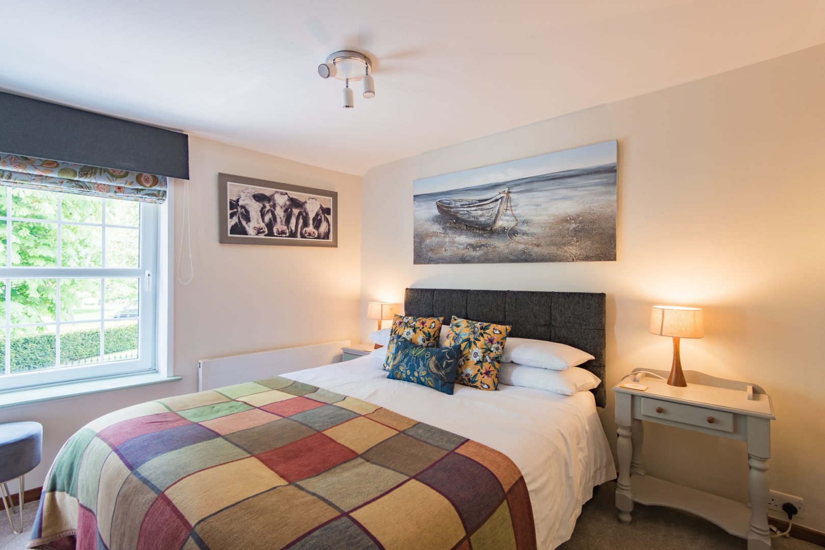 Cow and Cockle image