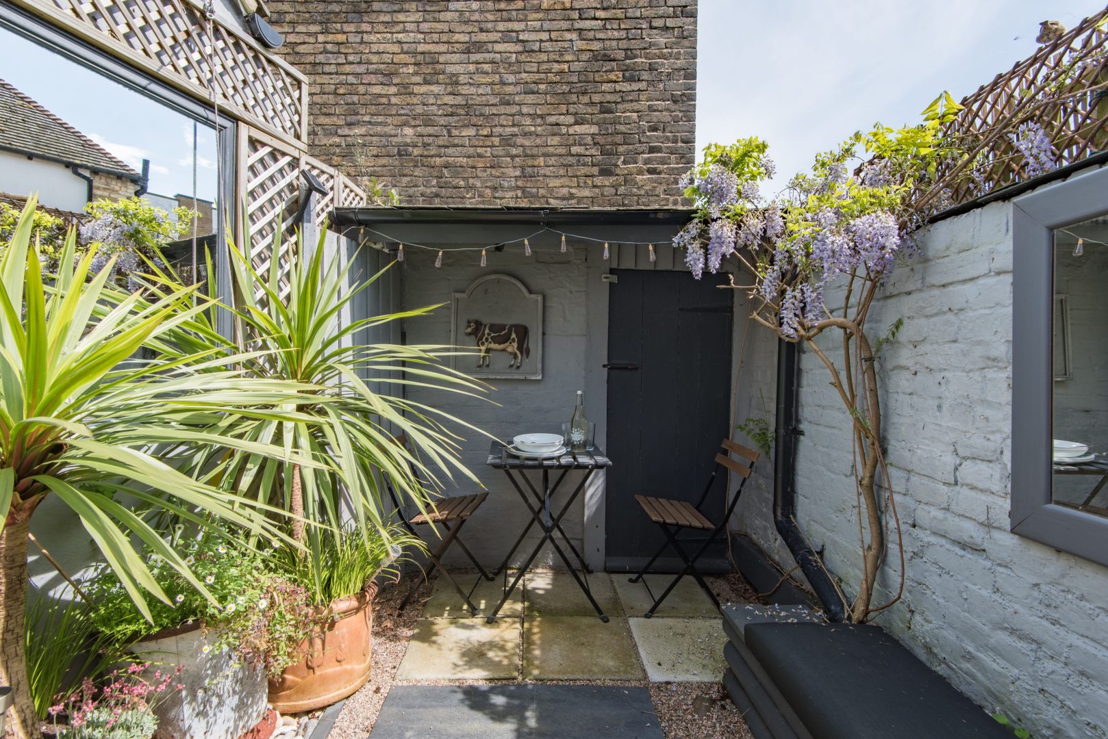 Cow and Cockle image