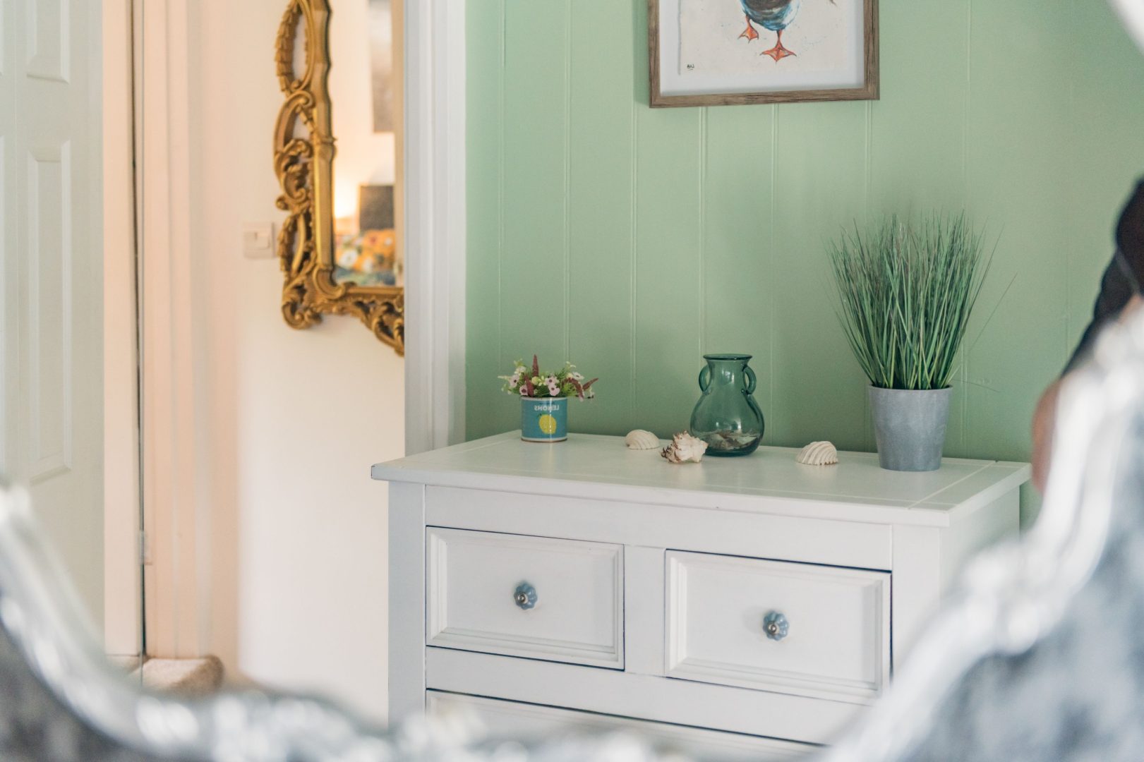 Cow and Cockle image