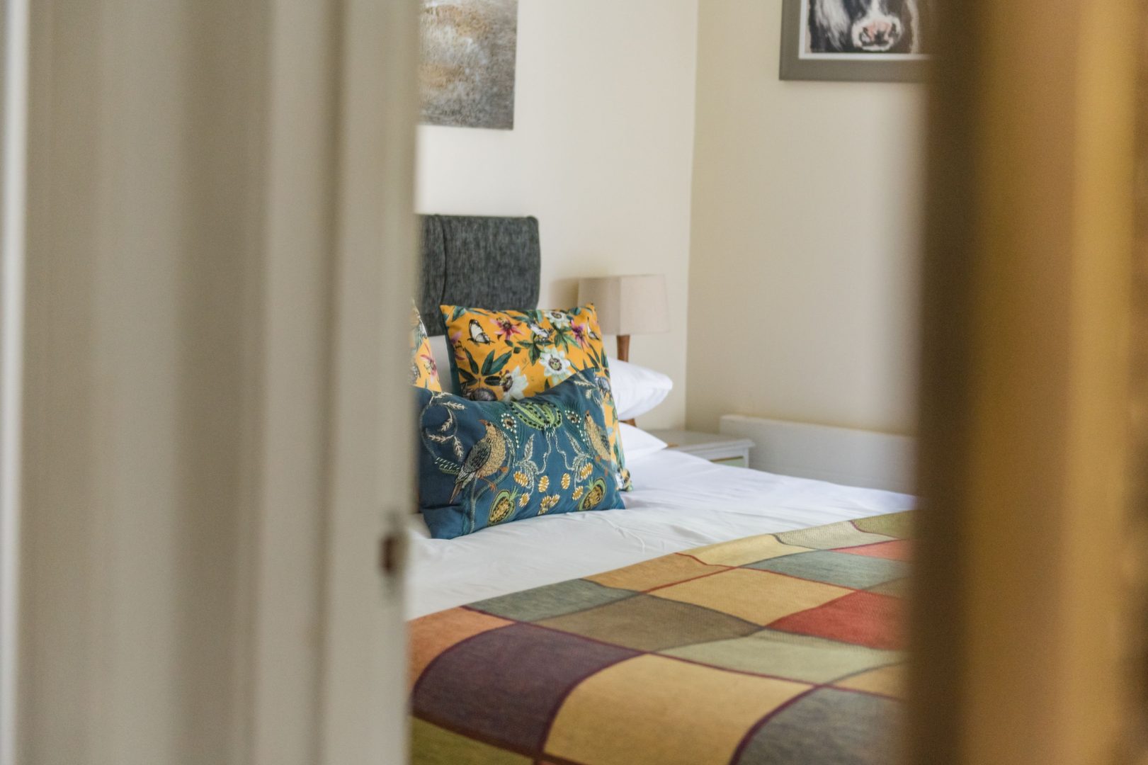 Cow and Cockle image