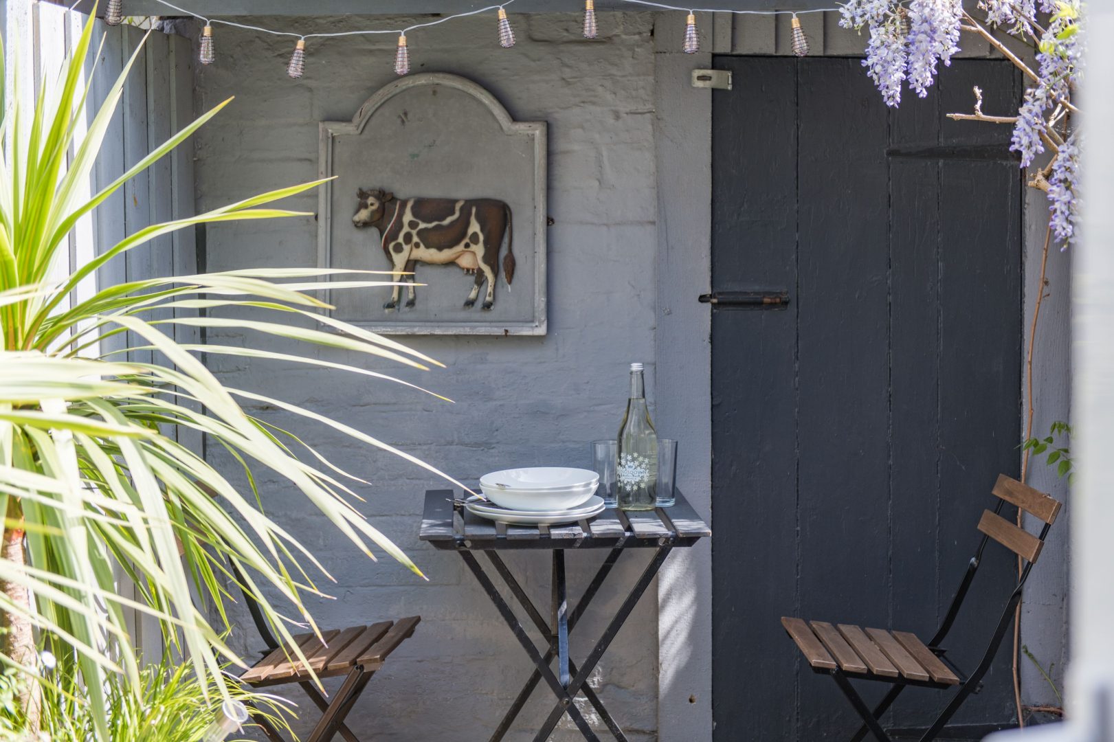 Cow and Cockle image