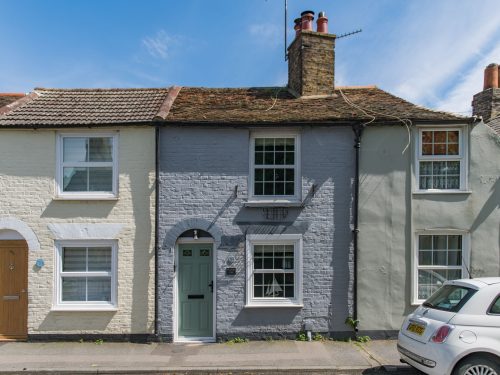 Cow and Cockle image