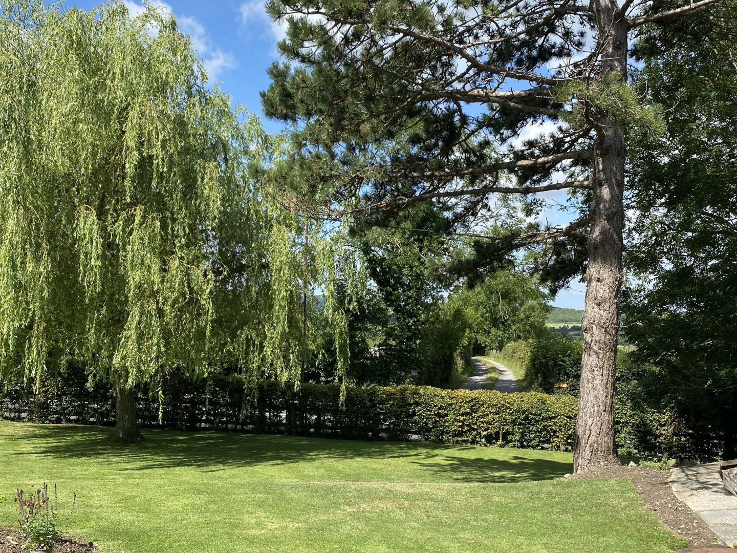 Woodman’s Cottage image