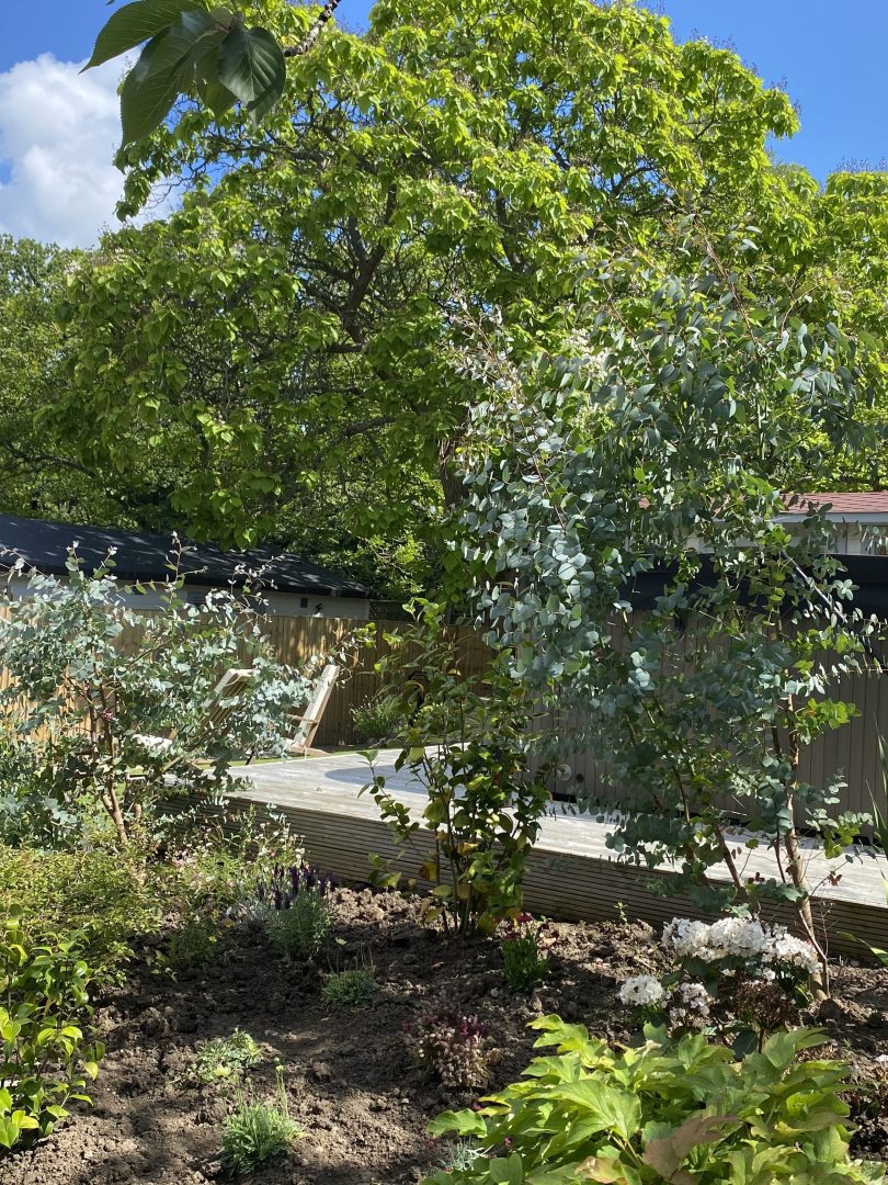 Woodman’s Cottage image