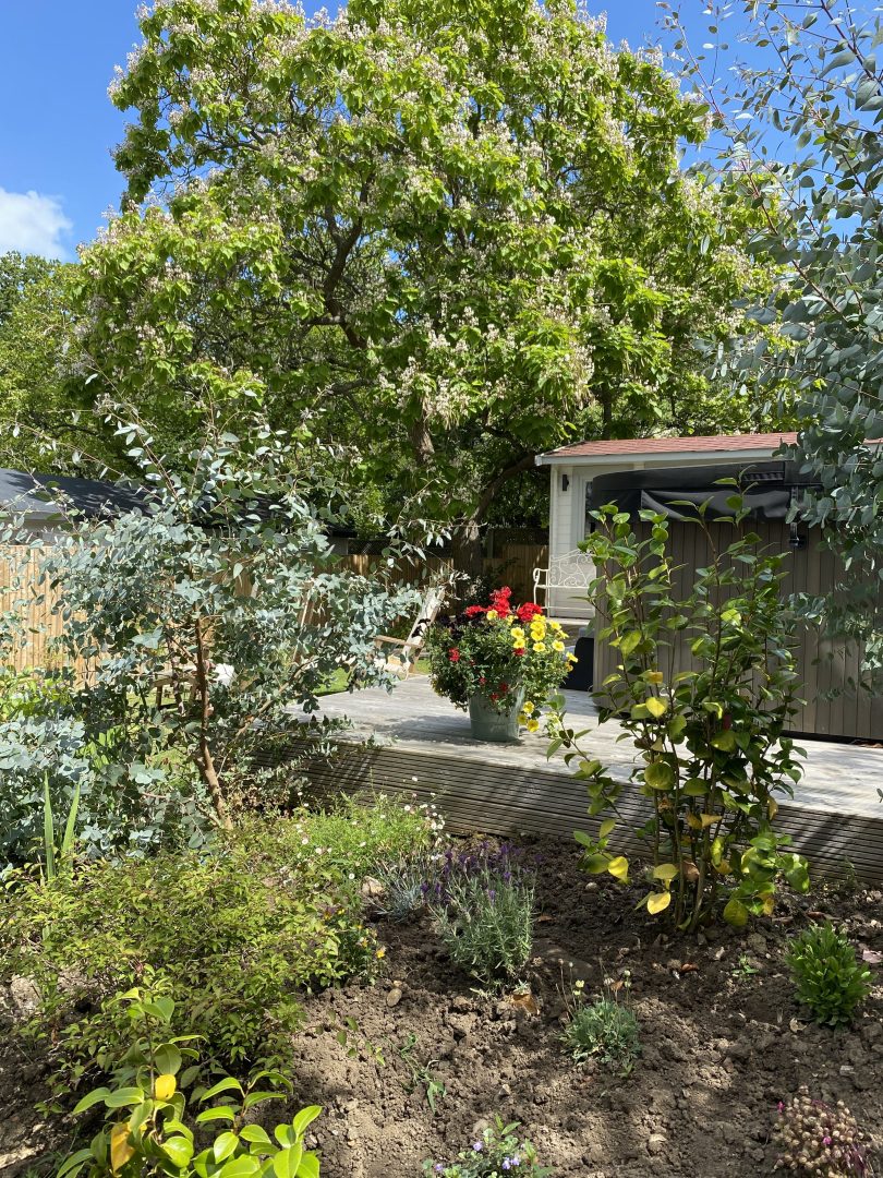 Woodman’s Cottage image