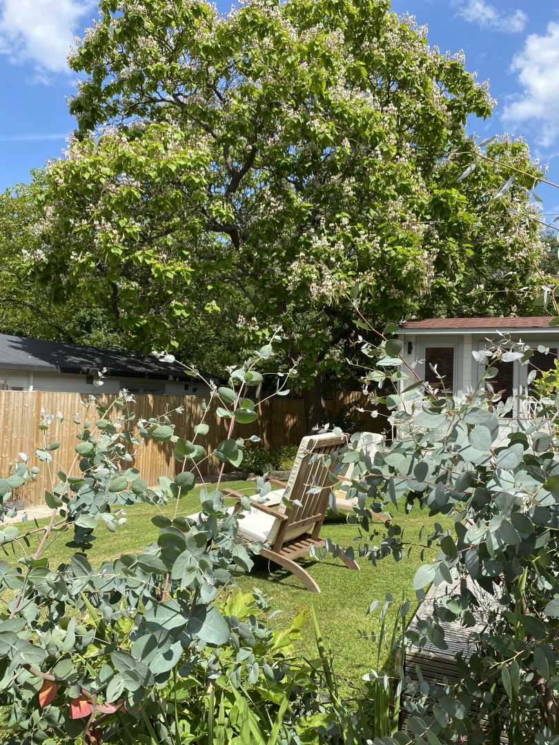 Woodman’s Cottage image