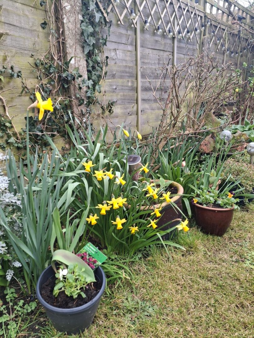 Claire’s Cottage image