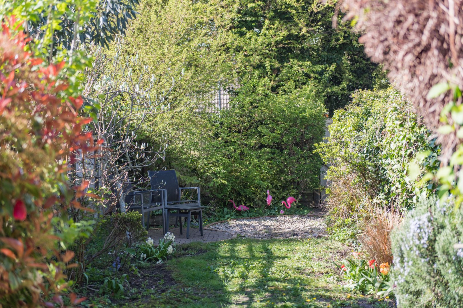 Flamingo House image