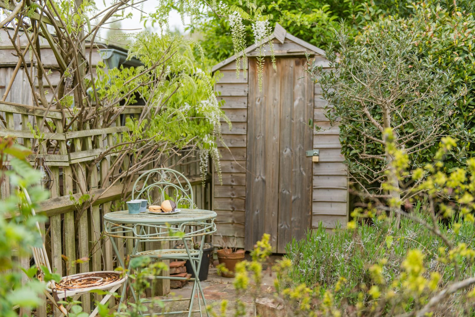 Bertie’s Cottage image