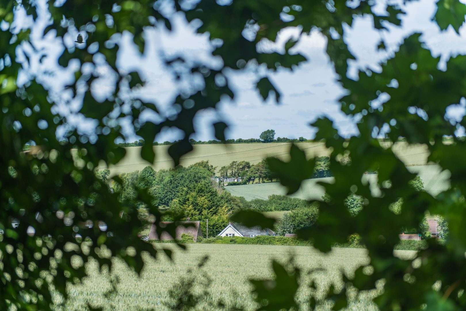 Raspberry Cottage image