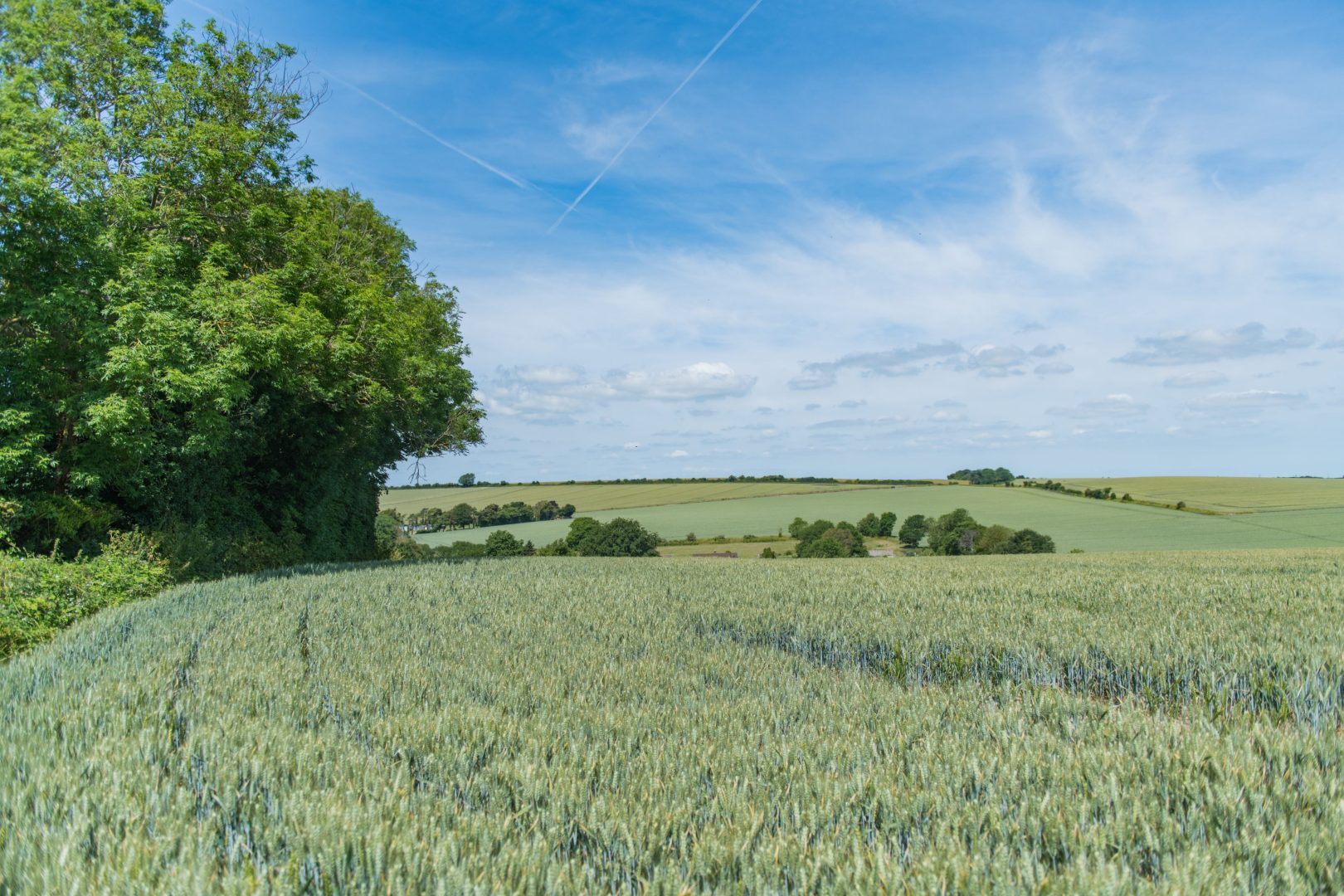 Raspberry Cottage image