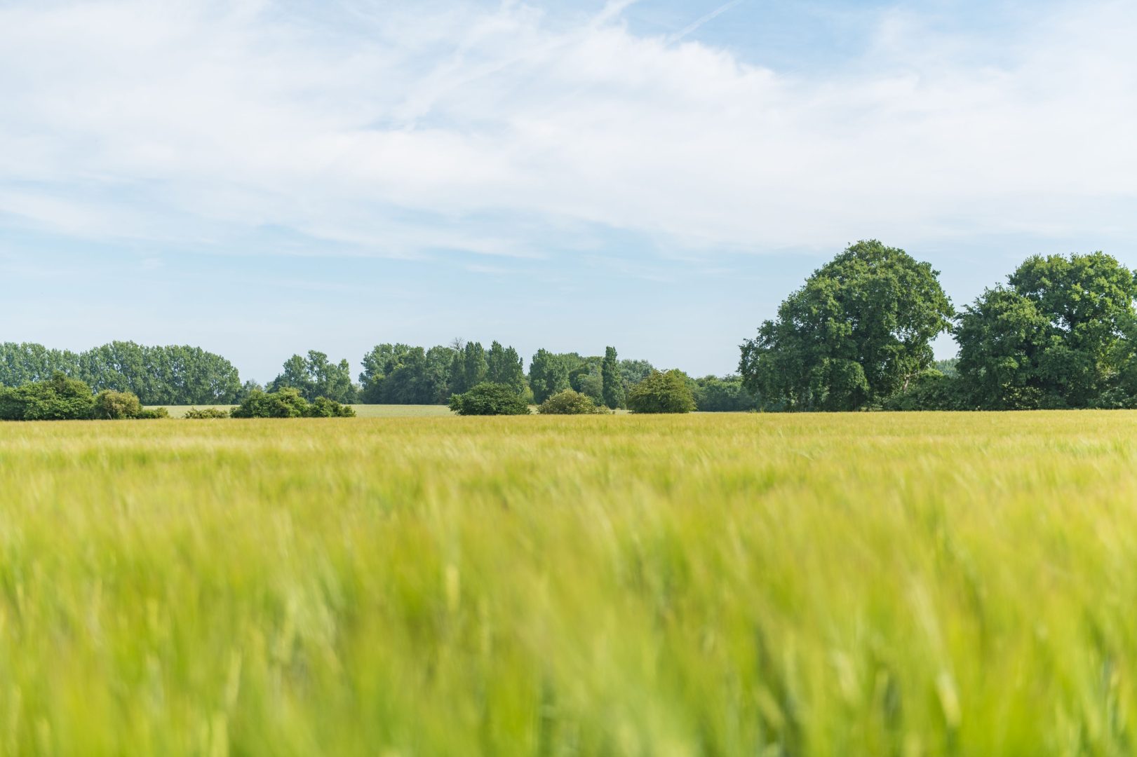 Sonnet Cottage image