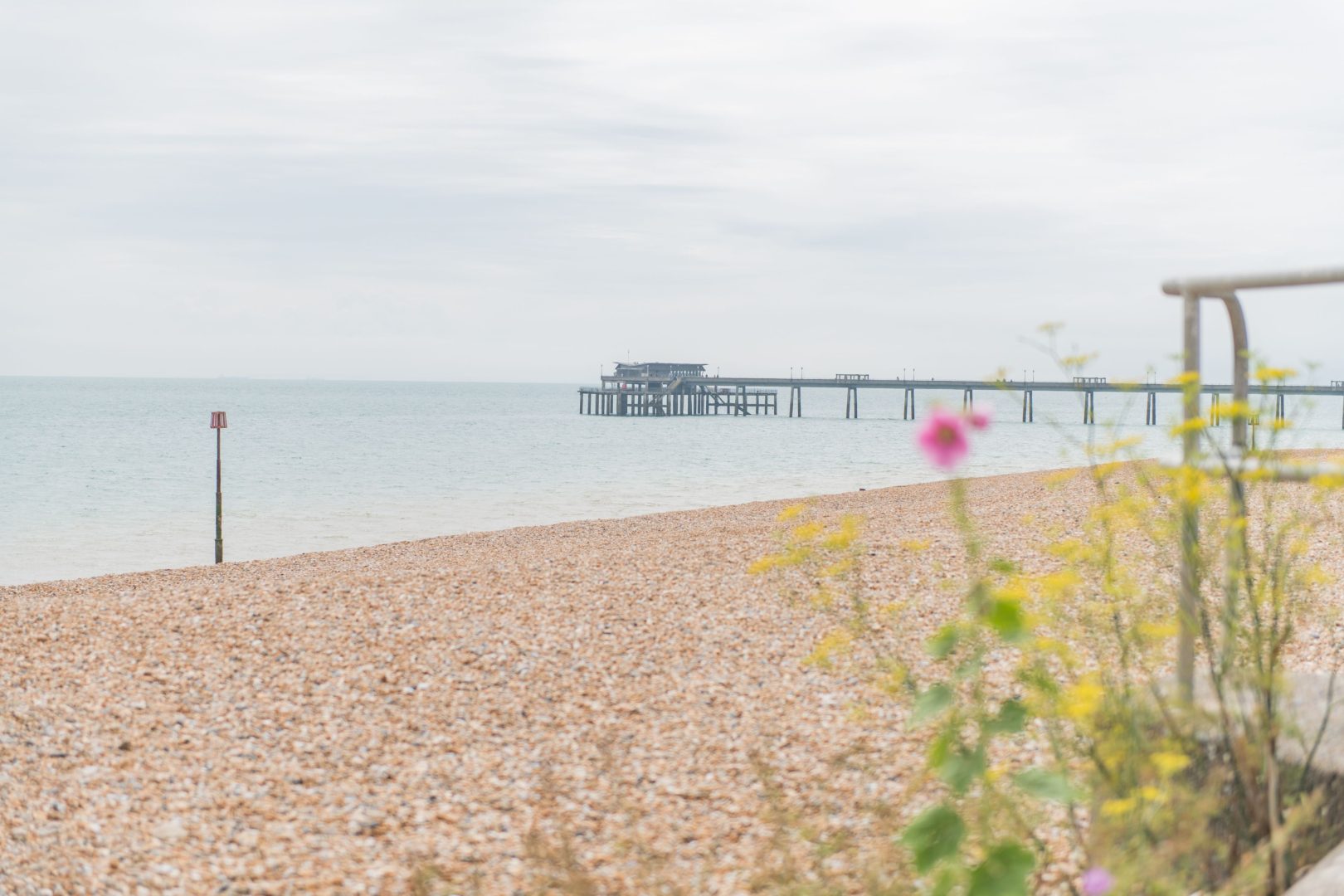 Wisteria Cottage image