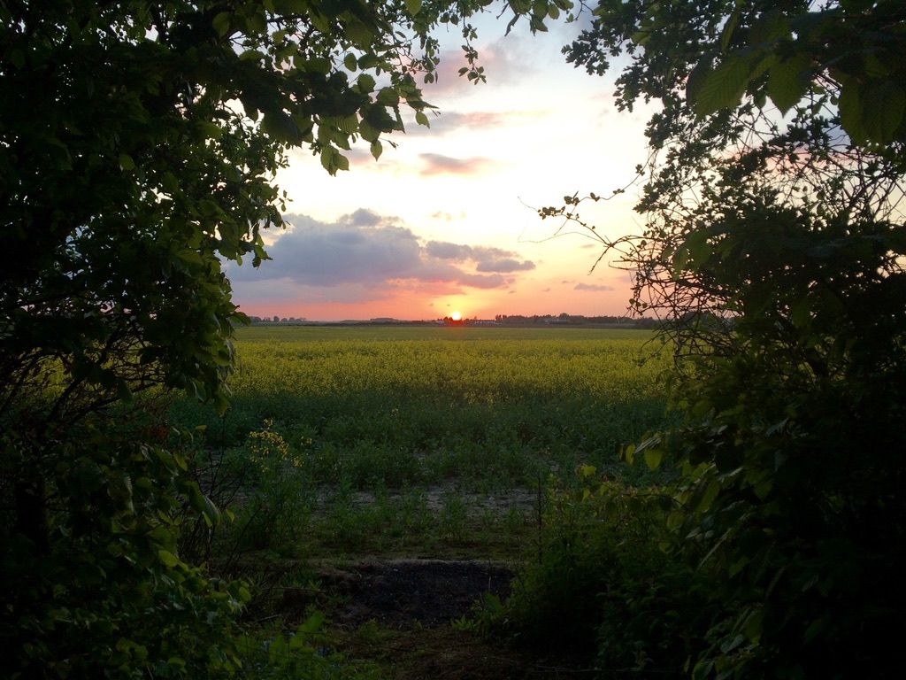 Sonnet Cottage image