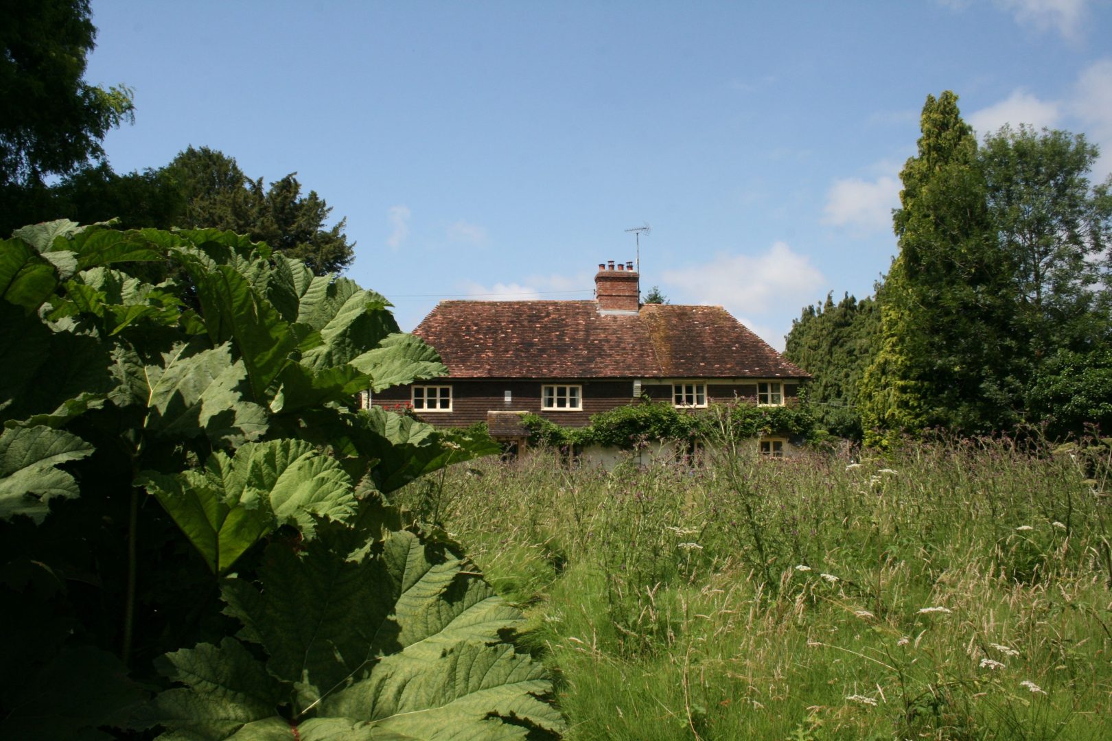 Water Farm House image