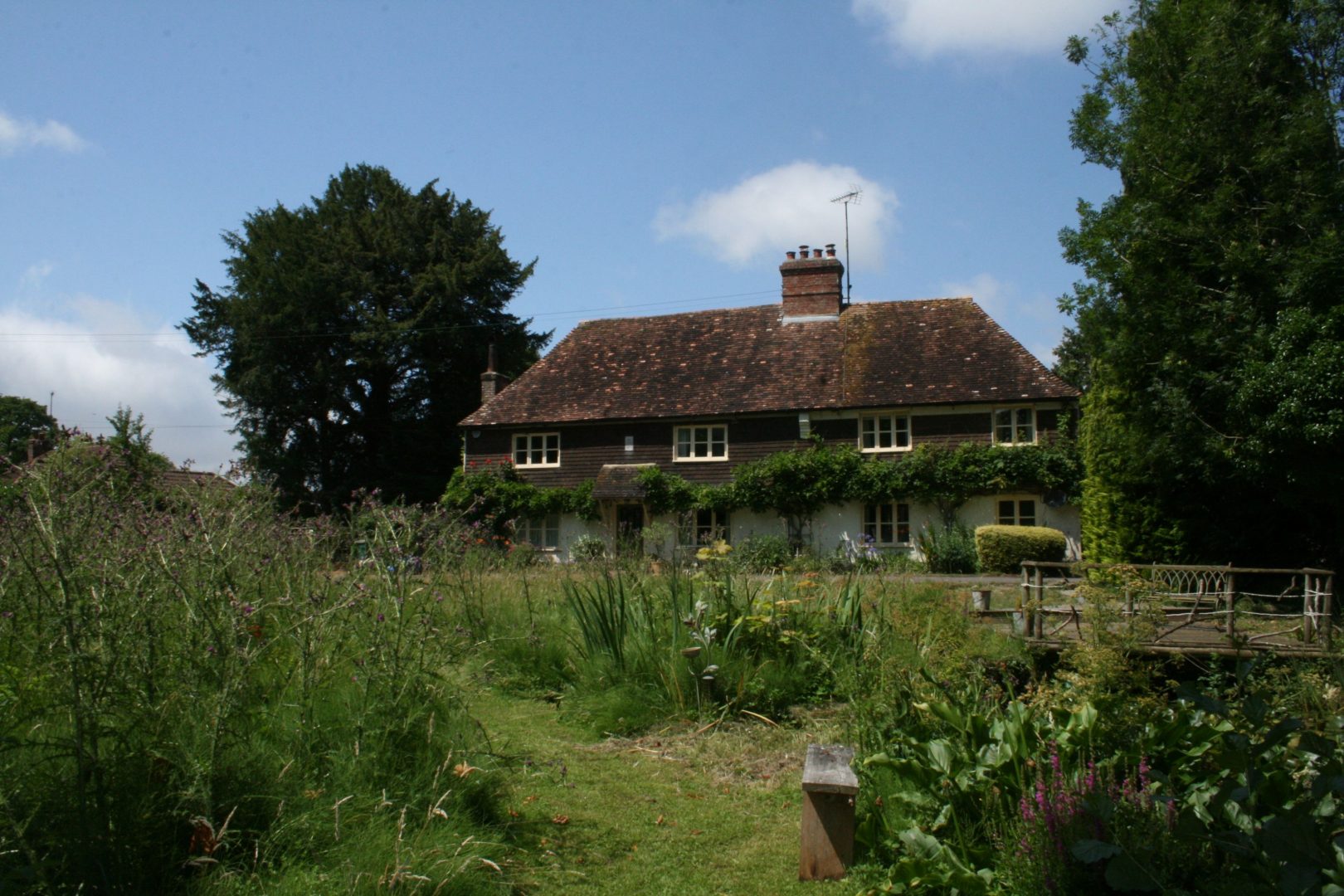 Water Farm House image