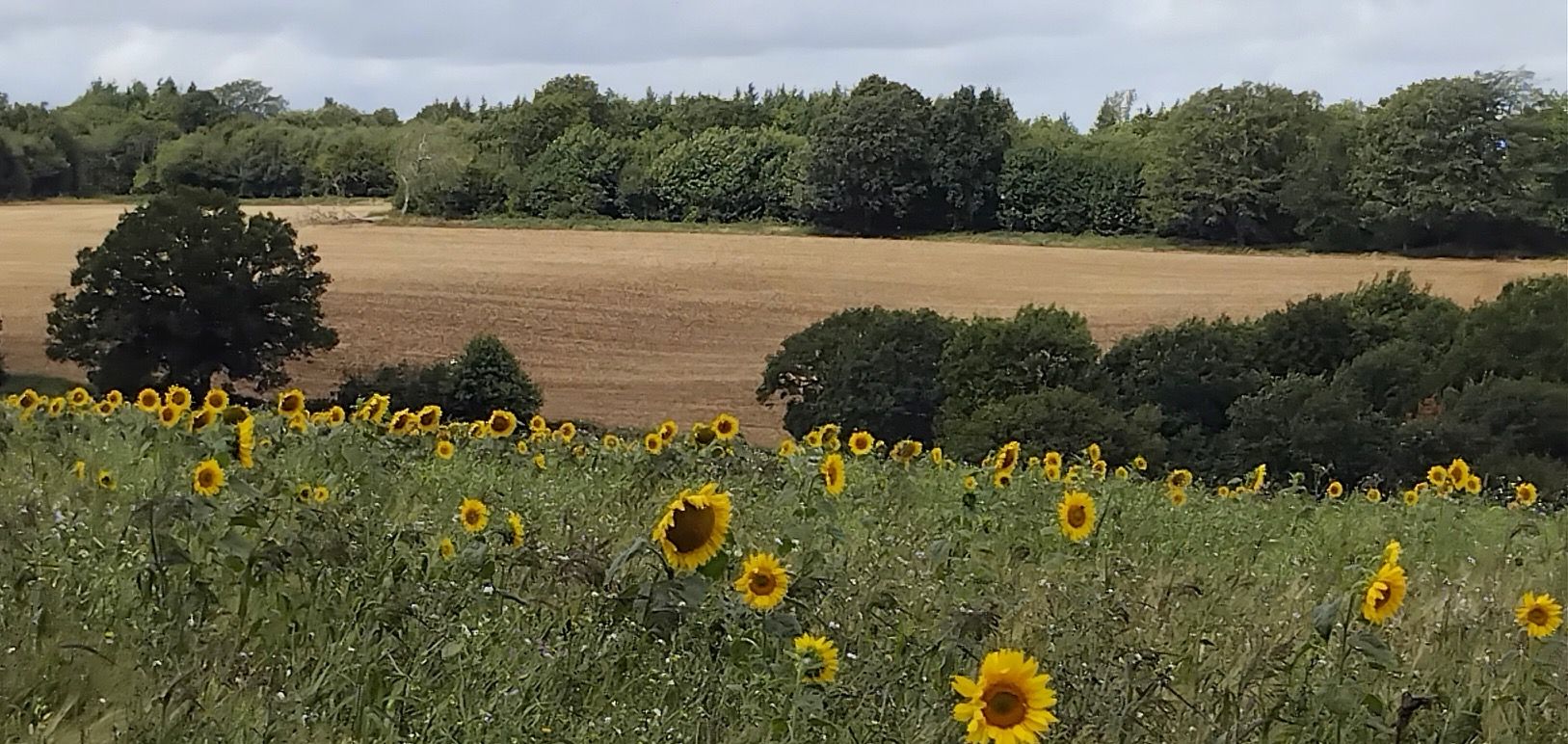 The Granary at Newage Farm image
