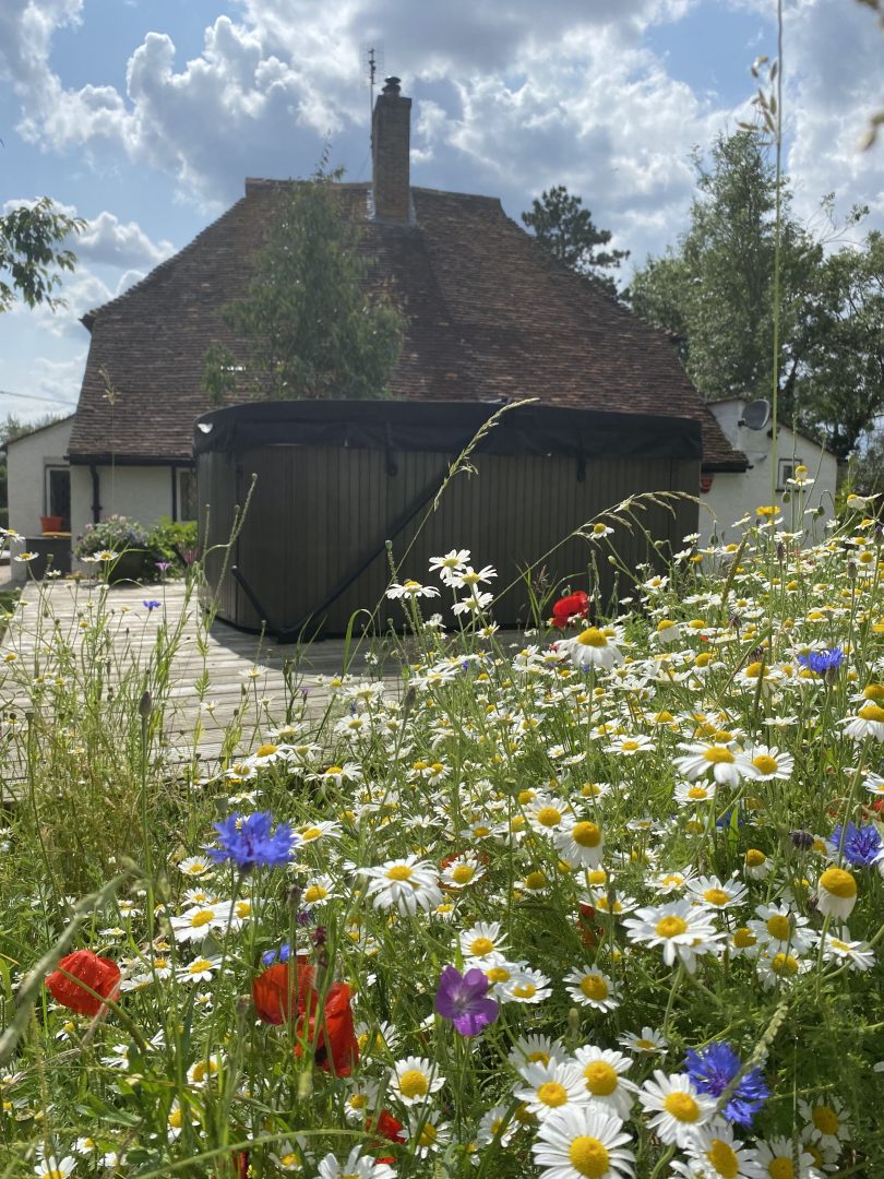 Woodman’s Cottage image