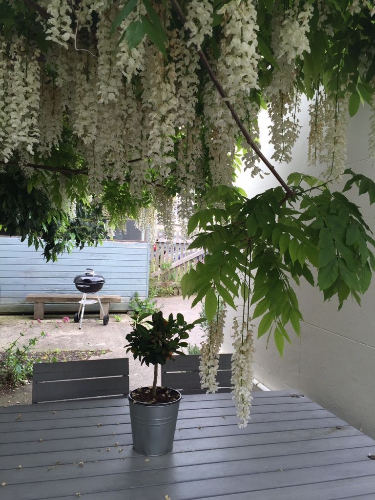 Cliffeside Cottage image