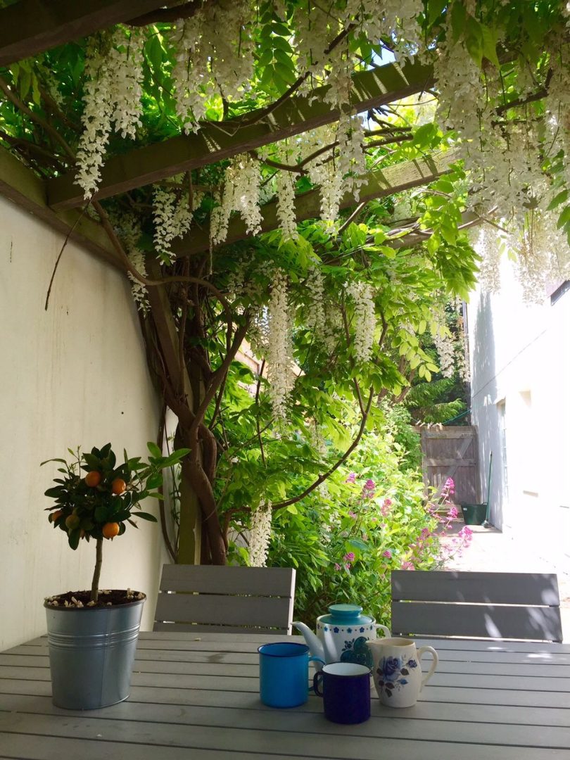 Cliffeside Cottage image