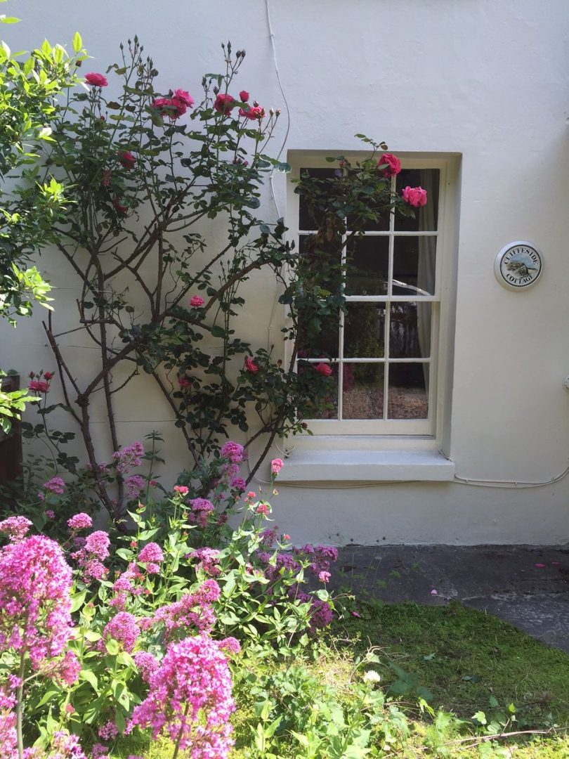 Cliffeside Cottage image