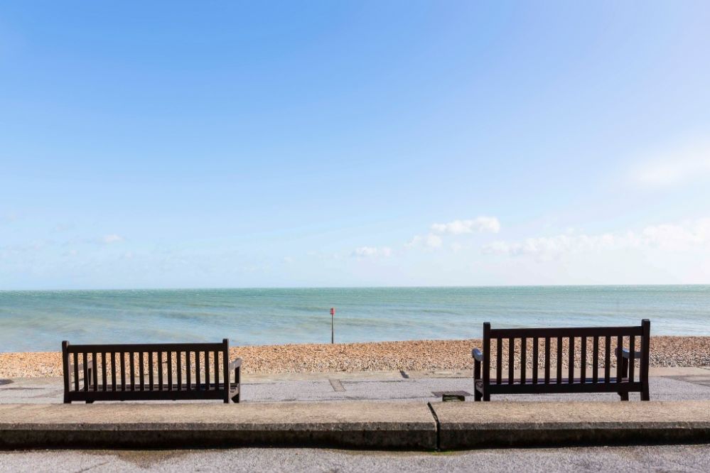 Hoop & Griffin image